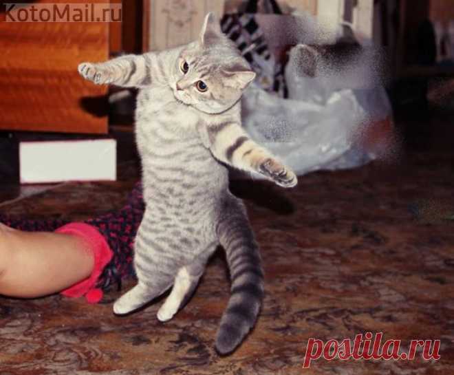 Хорошее настроение)