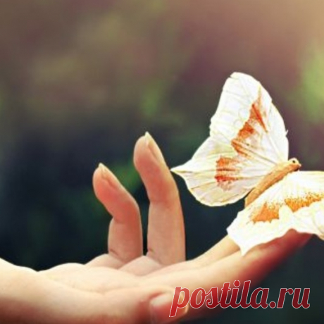 Не соединение с собой
