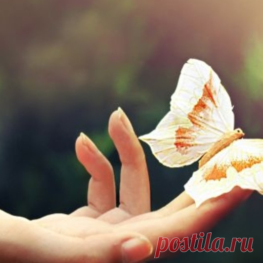 Не соединение с собой