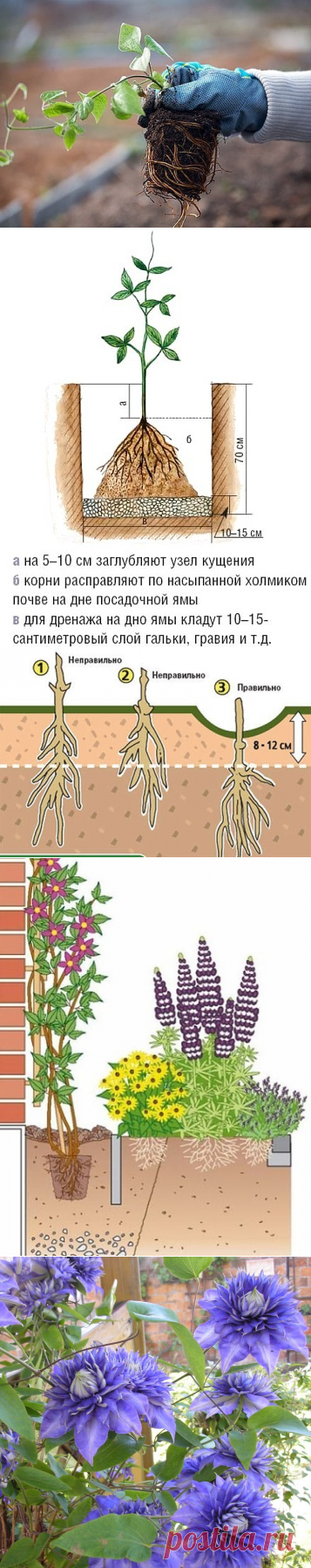 (68) Одноклассники