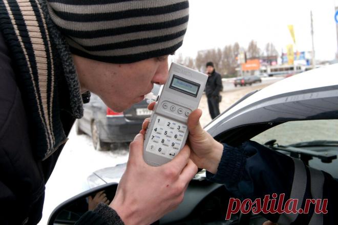 (1) 6 продуктов, которые покажут промилле у трезвого водителя - Елисеенко Максим Александрович, 06 апреля 2020