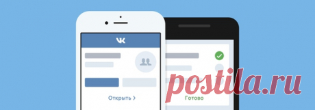 Светлана Болотова