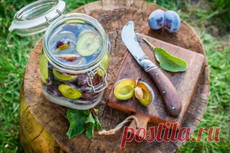 Дачный компот из сливы на зиму — Домашняя кулинария