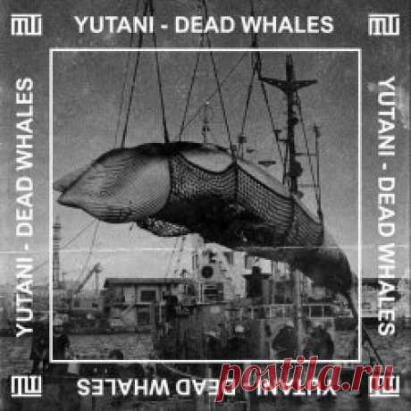 Yutani - Dead Whales (2025) [EP] Artist: Yutani Album: Dead Whales Year: 2025 Country: Armenia Style: Electro, Breakbeat