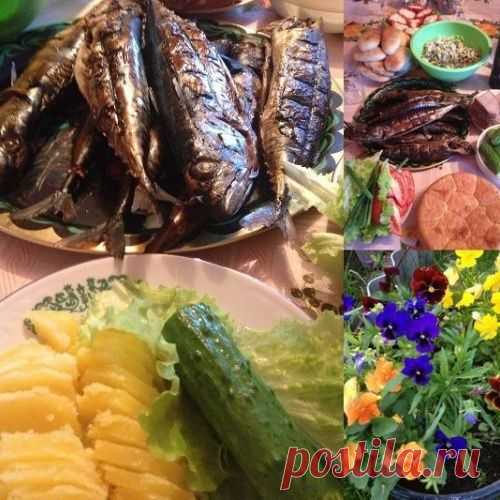 Копченая рыба : дачные рецепты