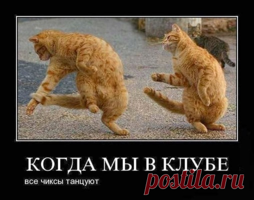 Дневник Ижевчанка