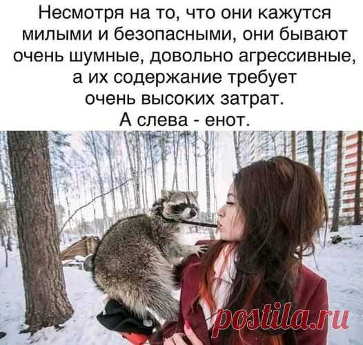 (20+) Facebook