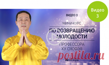 SY - Мини-курс - «Вводный курс цигун с профессором Ху Сяофэем» - Видео 1 - Издательство Неоглори