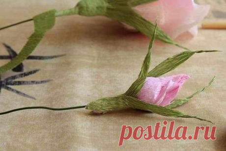 Розочка из гофрированной бумаги - легкий урок.