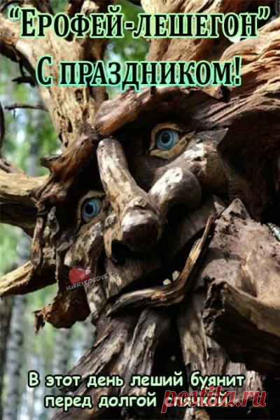 Считалось, что в этот день леший громко кричит, ломает деревья и хлопает в ладоши, «прощаясь» с лесом. Открытки на Ерофеев день.