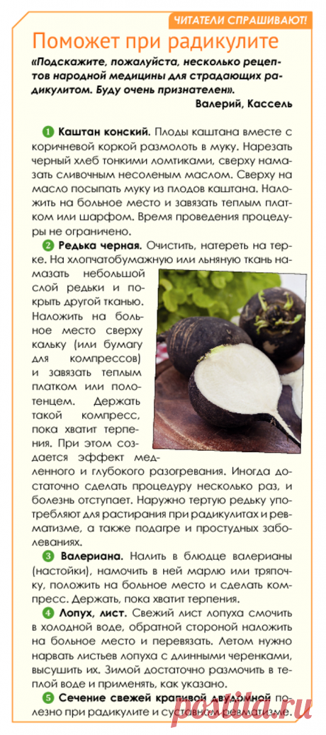 Народная медицина от радикулита