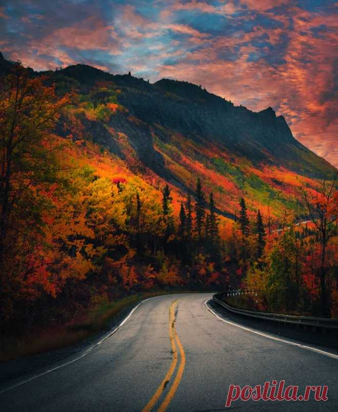 Legendary Scholar — essenceofnatvre: takebreaks_ Almost there. 🍁