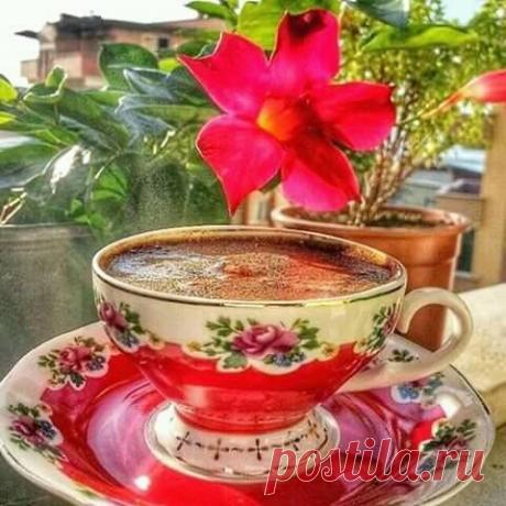 (43) Зина Таирова