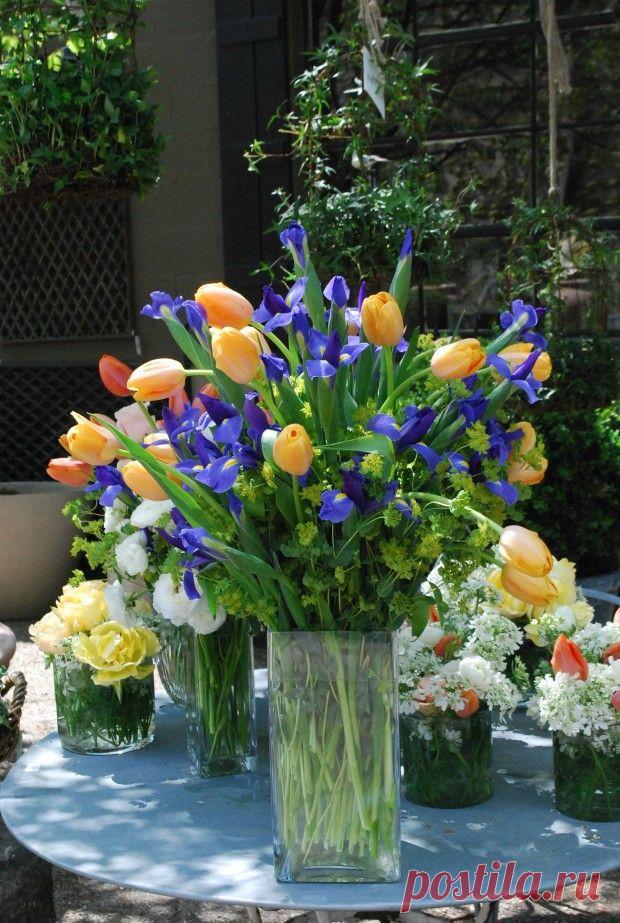 Найдено на сайте deborahsilver.com.