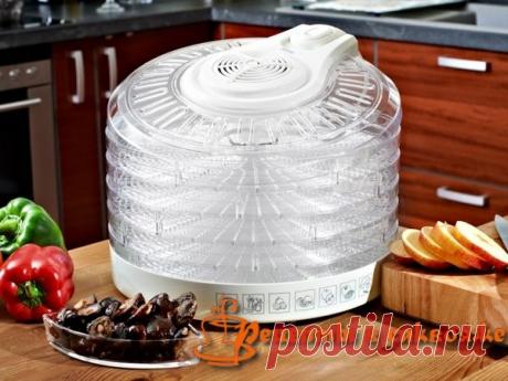 Как сушить грибы в домашних условиях