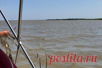 Более 20 километров береговой линии озера Ханка очистили от мусора. На акватории озера Ханка начаты работы по сбору брошенных орудий лова и мусора. Подобные мероприятия будут проводиться регулярно до ноября не реже одного раза в месяц. Качество выполненных работы проверило агентство по рыболовству Приморского края, было очищено 20 километров береговой линии.