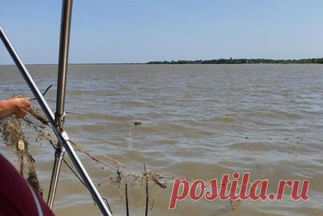 Более 20 километров береговой линии озера Ханка очистили от мусора. На акватории озера Ханка начаты работы по сбору брошенных орудий лова и мусора. Подобные мероприятия будут проводиться регулярно до ноября не реже одного раза в месяц. Качество выполненных работы проверило агентство по рыболовству Приморского края, было очищено 20 километров береговой линии.