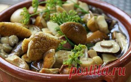 Кто не любит ароматные маринованные грибочки? Лучшие рецепты — Вкусные рецепты