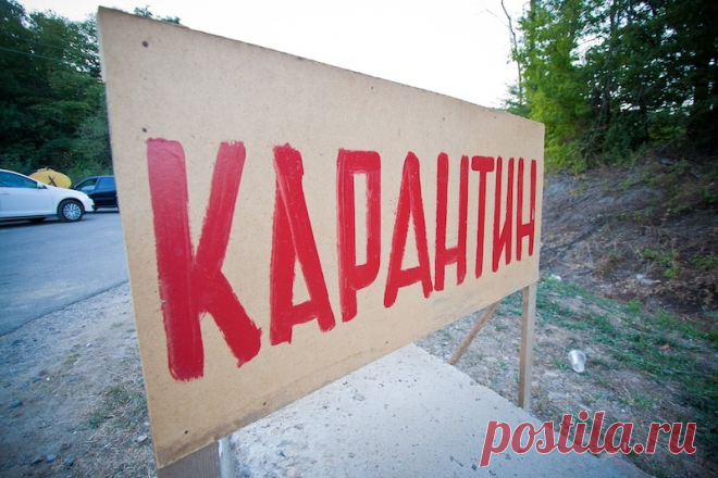 5-7-23-В Смоленске введен карантин ПО БЕШЕНСТВУ.  Очагом стало личное хозяйство жителя Смоленска.Такой Указ подписал врио губернатора Смоленской области Василий...