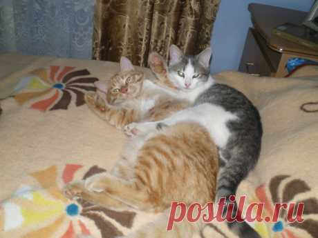 Сладкая парочка