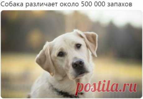 Интересные факты - Группы Мой Мир