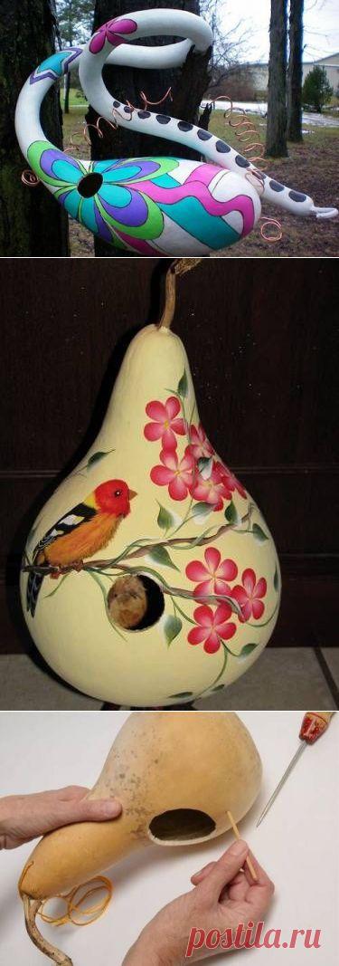 Скворечник из лагенарии