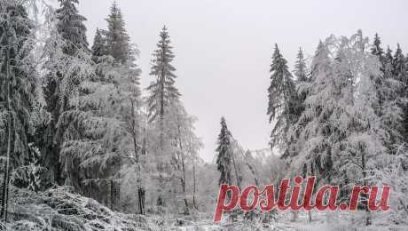 Россиян высадили из поезда в холод в лесу из-за ошибки проводницы. В Пермском крае пассажиры поезда оказались ночью в лесу. Об этом сообщает Telegram-канал &quot;Осторожно, новости&quot;. Несколько пассажиров, следовавших из Екатеринбурга, должны были выйти в городе Чернушка, но их высадили раньше, ...