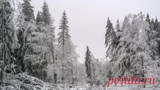 Россиян высадили из поезда в холод в лесу из-за ошибки проводницы. В Пермском крае пассажиры поезда оказались ночью в лесу. Об этом сообщает Telegram-канал "Осторожно, новости". Несколько пассажиров, следовавших из Екатеринбурга, должны были выйти в городе Чернушка, но их высадили раньше, ...