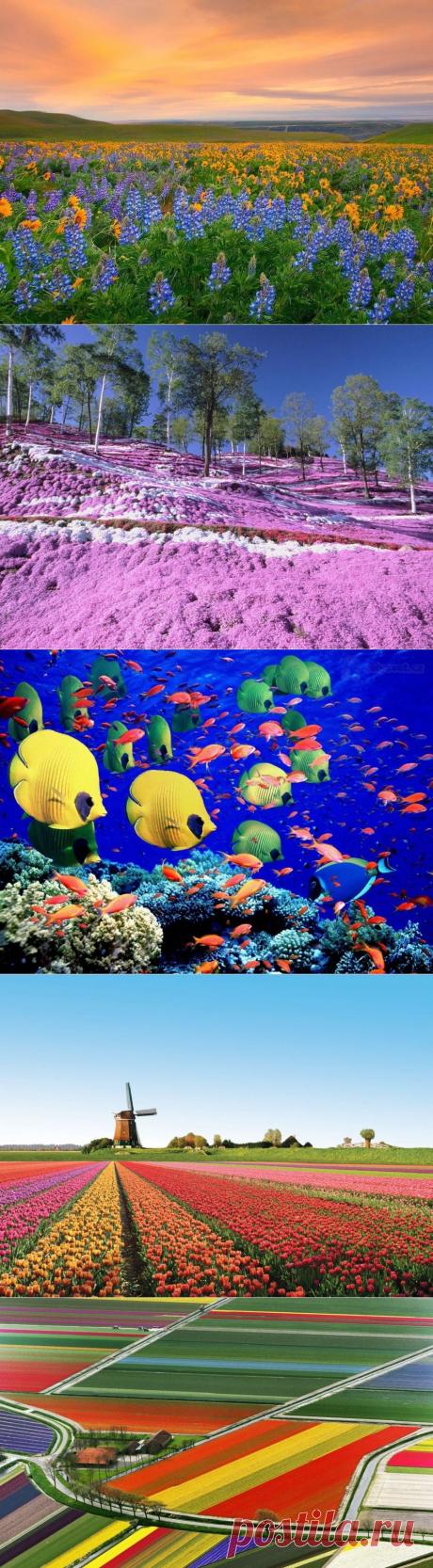 Приглашаю в свою команду для развития бизнеса.https://millioner-sveta.blogspot.com