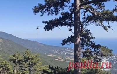 В Крыму локализовали пожар в природном заповеднике на площади 2 га. О ликвидации возгорания сообщили в пресс-службе МЧС РФ
