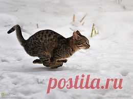 Берегите природу