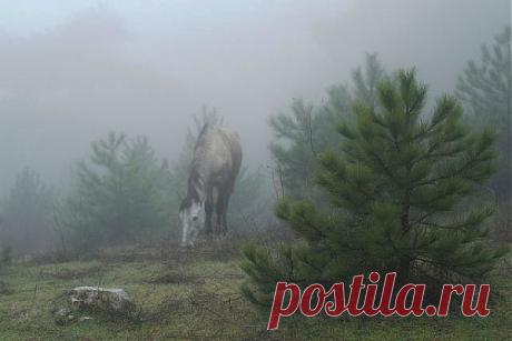 getImage (Изображение JPEG, 640 × 428 пикселов)