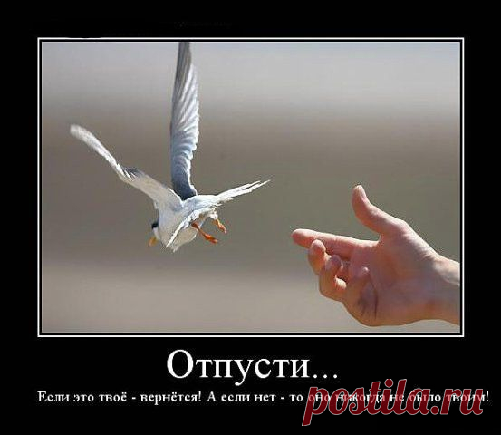 Отпусти