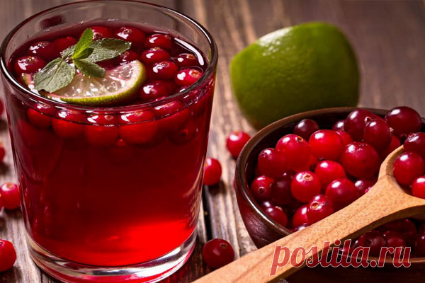 Брусничный морс