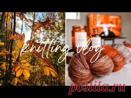vlog 36/2023 | уютный 🍁 осенний день | вяжу лопапейсу Alasuq | новая пряжа 🧶✨️