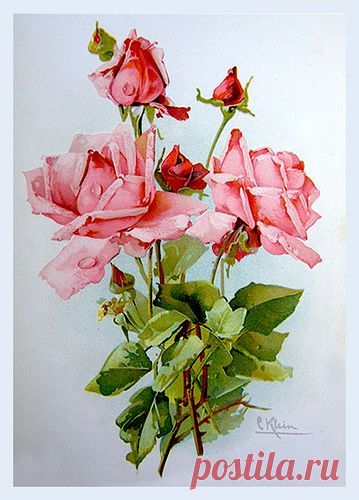 Пин от пользователя Nola Belle на доске :{: Oh So Lovely :}: