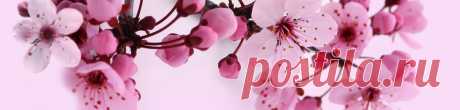(3) Однокласники