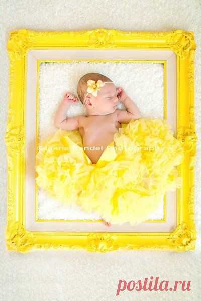 (13) Pinterest