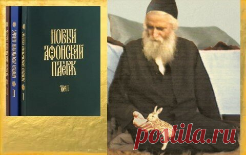 Святой Паисий Святогорец: «Когда мы возжигаем свечу о душе усопшего человека, то он получает огромную пользу» | Паисий Святогорец | Яндекс Дзен
