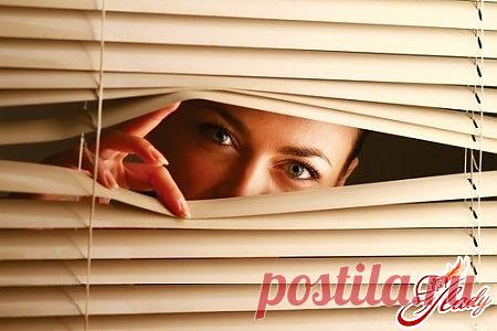 Как мыть жалюзи?