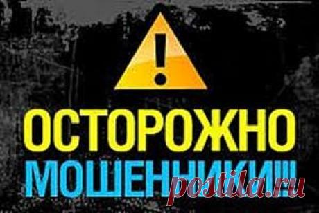 Инициативная группа &quot;Медведь&quot; при Благотворительном фонде &quot;Виктора Кислова&quot;