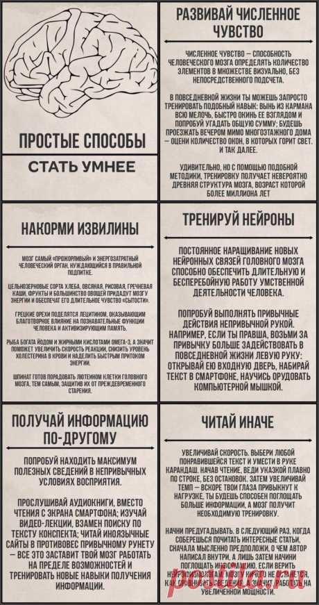 Простые способы стать умнее