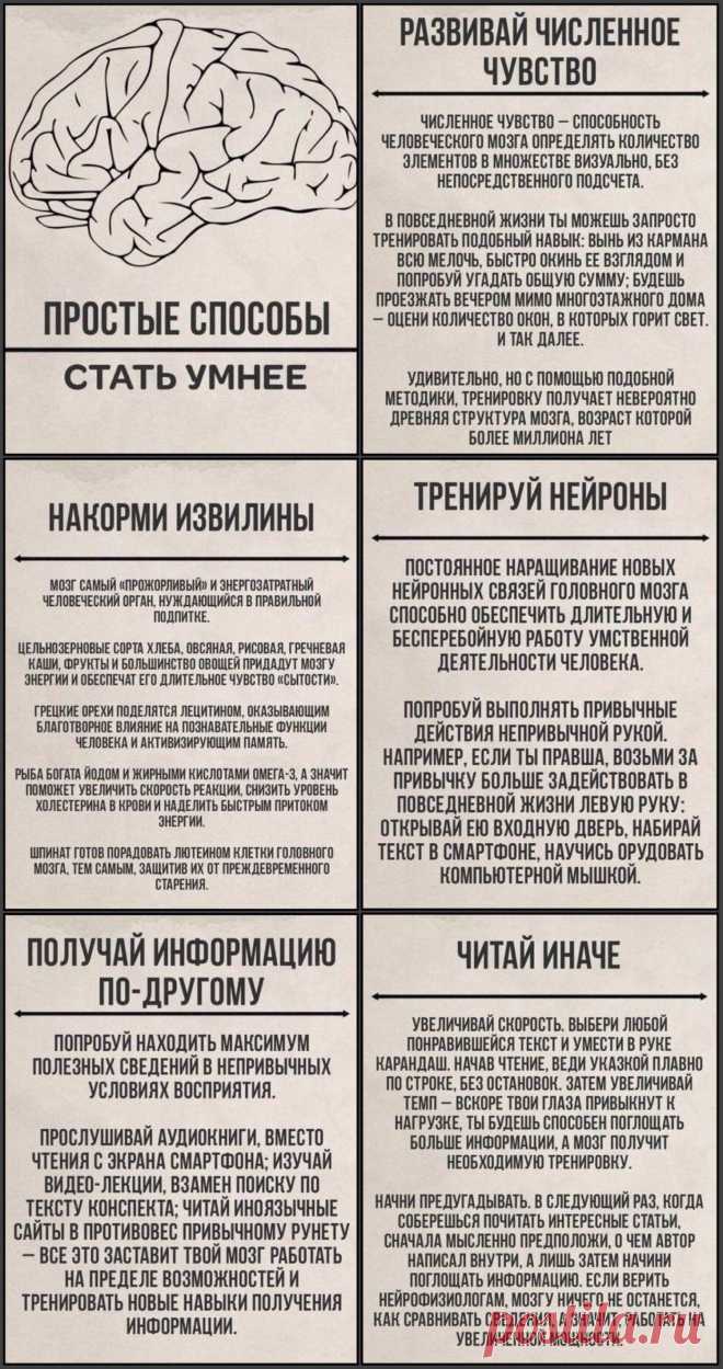 Простые способы стать умнее