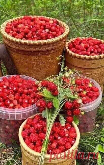 Летняя вкуснятина