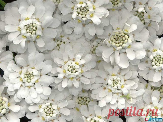 97f9daae0736.jpg (Изображение JPEG, 640 × 480 пикселов)