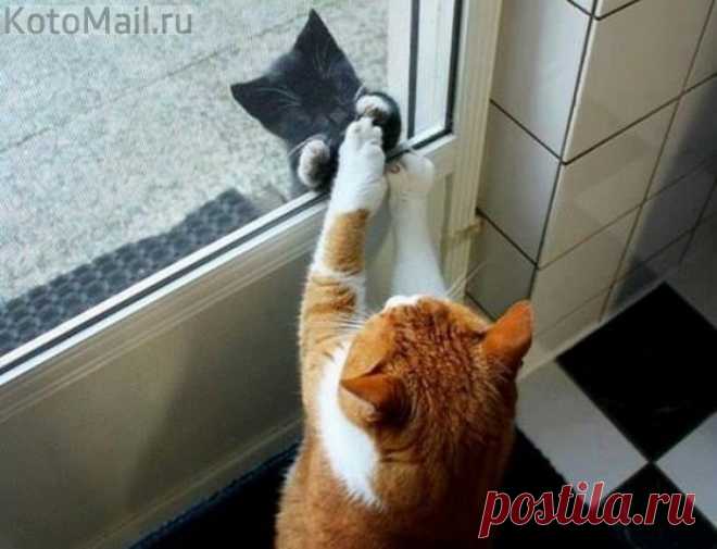 Закрытая любовь