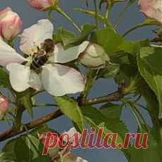(98) Мирон Грицюк