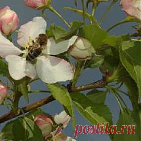 (98) Мирон Грицюк