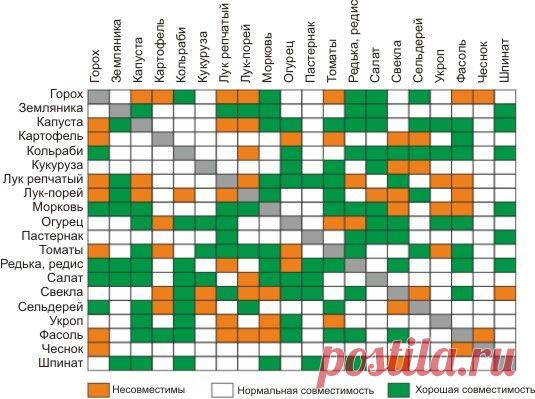 Дизайн огорода своими руками: 100 фото