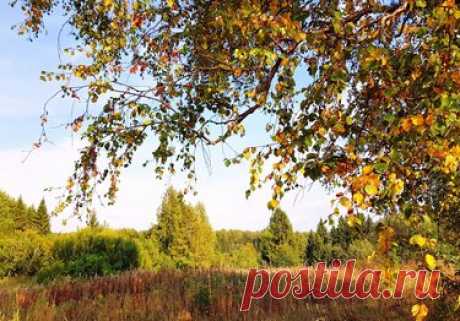 «Фото недели с 28 сентября по 4 октября» — карточка от пользователя A.Olga в Яндекс.Коллекциях